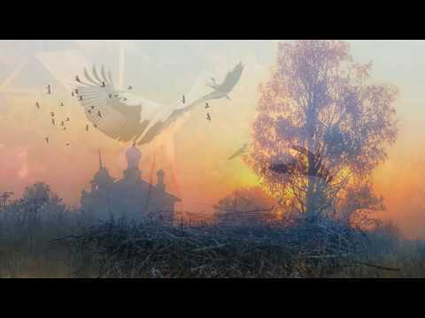 Видео: Малиновый  звон... (Ностальгия...)