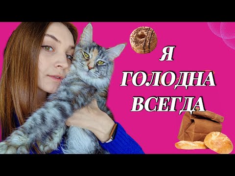 Видео: ЧЕМ КОРМИТЬ МЕЙН-КУНА, ЧТОБЫ ОН НАЕЛСЯ (И НЕ ТОЛЬКО МЕЙН-КУНА)?