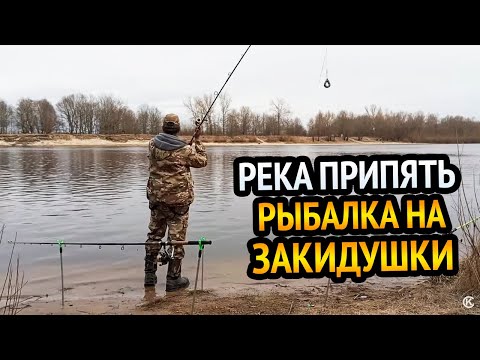 Видео: РЕКА ПРИПЯТЬ, БАРБАРЫ.РЫБАЛКА НА МЕЛКОВОДЬЕ!!! ГУСТЕРА НАЧИНАЕТ КОРМИТСЯ.