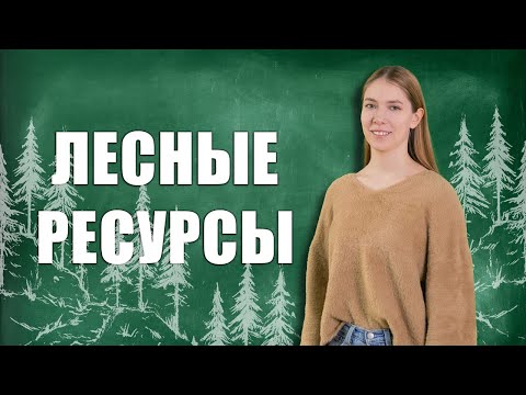 Видео: Правовое регулирование лесных ресурсов