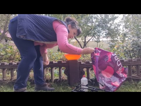 Видео: Удивительный рабочий способ очистить нагар. Высаживаю чеснок. Укоренение черенков воздушным способом