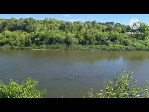 Видео: Пензенская область, Бековский район, село Гранки. 12.07.2024г.—————Через Бутырку на Хопёр...