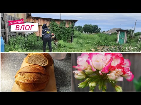 Видео: Сельские хлопоты. Покос травы. То жара, то холод.