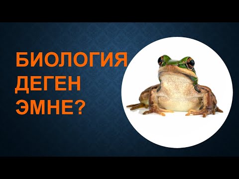 Видео: БИОЛОГИЯ деген эмне? / БИОЛОГИЯ эмнени окутат? / БИОЛОГИЯ кайсы предметтер менен байланышкан?