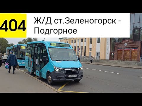Видео: Автобус 404. Ж/Д ст. Зеленогорск - Подгорное
