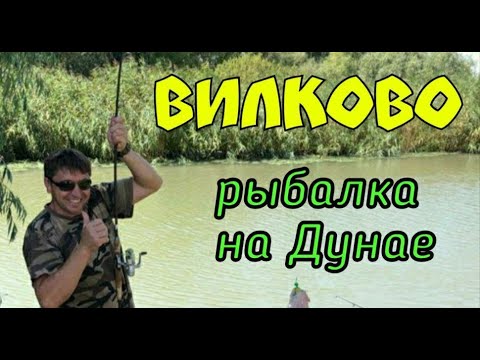 Видео: Рыбалка на Дунае. Великолепная рыбалка на Дунае.