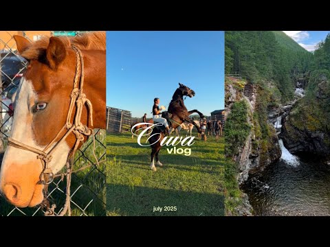 Видео: Тыва: Алаш фест, Чагытай и обмытие дипломов