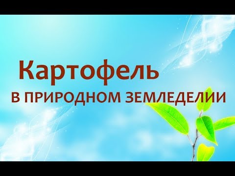 Видео: Природное земледелие - картофель