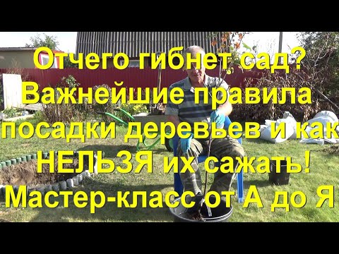 Видео: 37. ФАТАЛЬНЫЕ ОШИБКИ ПРИ ПОСАДКЕ ДЕРЕВА! Мастер-класс от А до Я.