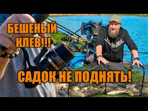 Видео: ЛУЧШАЯ СНАСТЬ НА КАРПА! 100% РЕЗУЛЬТАТ! РЫБАЛКА весной НА ФИДЕР!