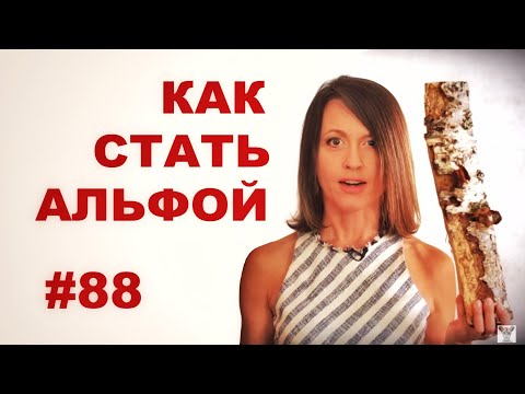 Видео: Как стать альфой? (если тебе это надо) // Всё как у зверей #88