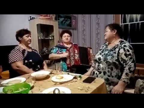 Видео: Песня Рябина, сёстры Пименовы и тульская гармонь