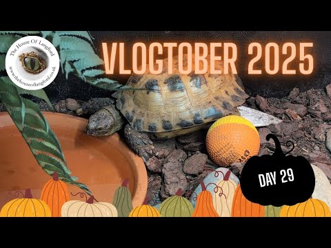 Видео: Vlogtober 2025 ~ День 29: Поведение черепахи и прогресс в одеяле