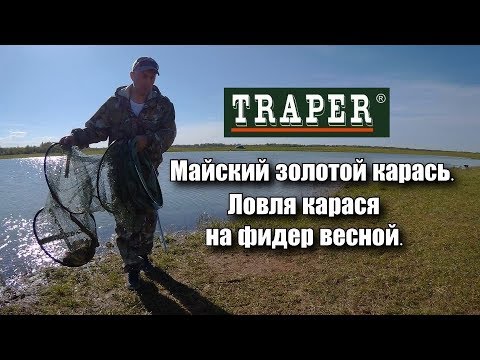 Видео: Майский золотой карась.  Ловля карася на фидер весной.