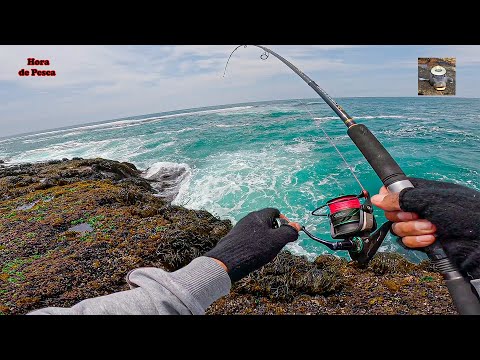 Видео: Монстр стола! Экстремальная рыбалка в южной части Тихого океана.