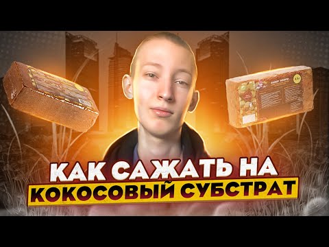 Видео: Как сажать микрозелень на кокосовый субстрат?! Подготовка субстрата к посеву!