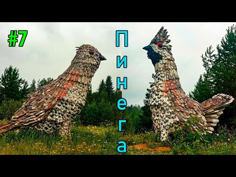 Видео: #7 Сплав по реке Пинега | В гостях у Сергея | Пинежские рябчики | Кулогорская Троя | Кулойский канал