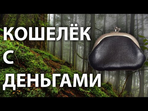 Видео: Нашел КОШЕЛЁК с ДЕНЬГАМИ. Коп в лесу
