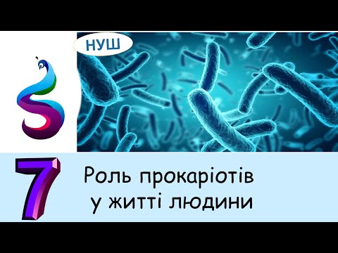 Видео: Роль прокаріотів у житті людини