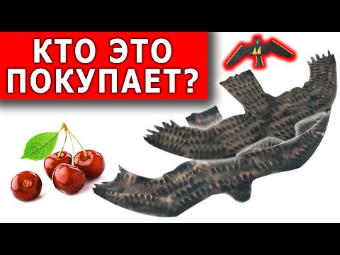 Видео: ПОЖАЛУЙ ЭТО ЛУЧШИЙ ОТПУГИВАТЕЛЬ ПТИЦ и 100% способ защиты ЯГОД от нашествия скворцов