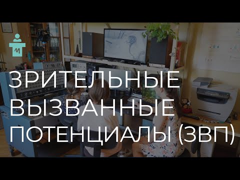 Видео: Потенциалы, связанные с событиями: Зрительные вызванные потенциалы (ЗВП). Цикл лекций по ВП