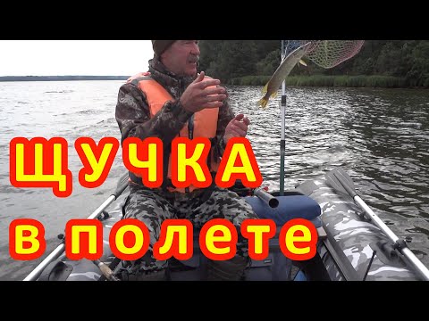 Видео: Рыбалка на Верхне-Волжских озерах с друзьями на новой лодке адмирал 335. Краткий обзор лодки