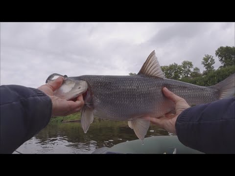 Видео: РЫБАЛКА НА СПИННИНГ, В СЕНТЯБРЕ ЖЕРЕХ НА ДЖИГ!!!