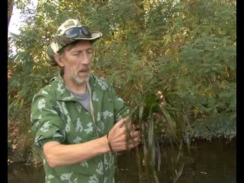 Видео: Интересные приманки Выпуск 3. Часть 1.