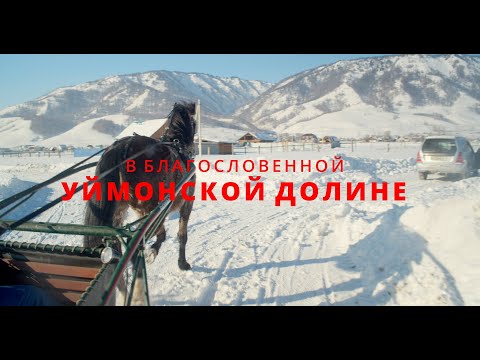 Видео: Рысаки навстречу ветру