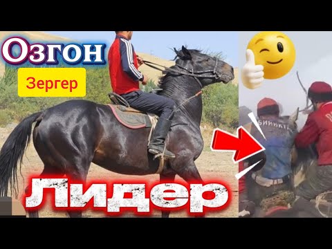 Видео: Лидер Озгон Зергер
