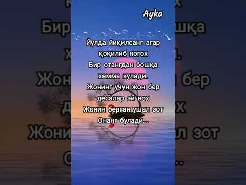 Видео: 8 ноября 2025 г.