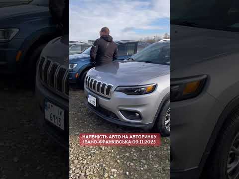 Видео: Наявність авто на Франківському авторинку. 09.11.2025