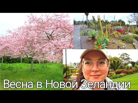 Видео: 🇳🇿 Влог 🌸 Ботанический сад, много природы, новозеландское солнце и гольф