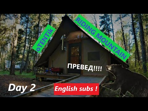 Видео: Кемпинг в Канаде | OTENTIK | RIDING MOUNTAIN NATIONAL PARK | Black bears everywhere !!! Day 2