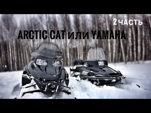 Видео: 🔵По Лесу и полям на Yamaha Vk-540 и Arctic cat bercat 570 Xte.❌