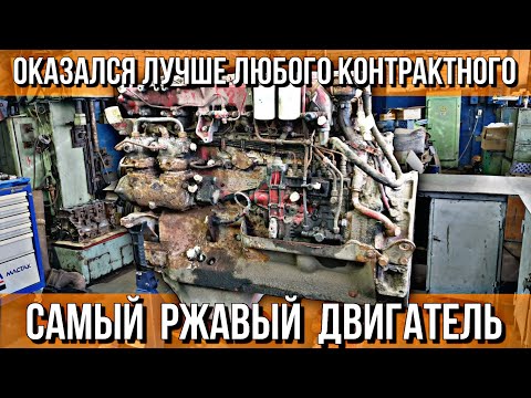Видео: РЖАВЫЙ ДОНОР ИЗ АНГЛИИ