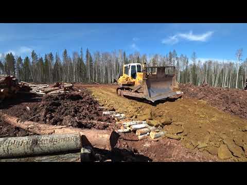 Видео: Бульдозер на лежневке