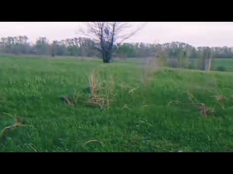 Видео: Как получилось найти работу