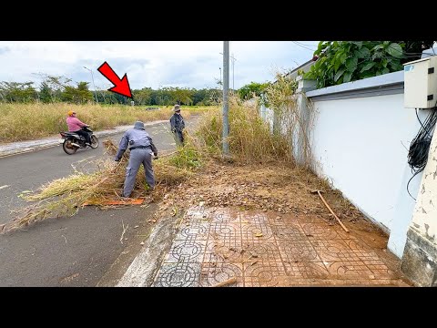Видео: Из заброшенного тротуара с сорняками я сделал более 500 м удивительно чистыми и красивыми.