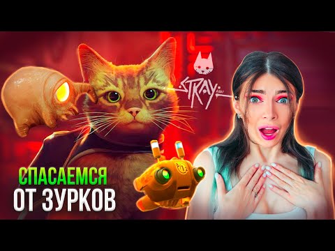 Видео: СПАСАЮ КИСКУ ОТ ЖЕЛЕЙНЫХ БАКТЕРИЙ ЗУРКОВ ➲ STRAY #3