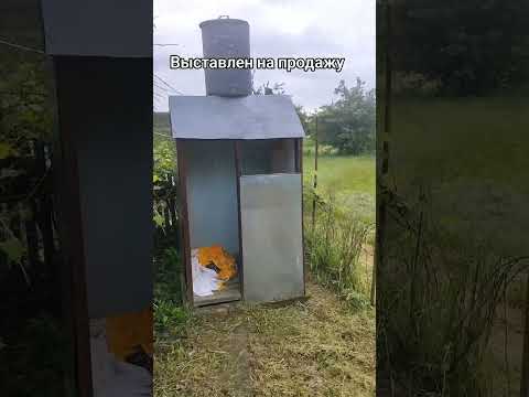 Видео: Обзор недвижимости в деревне Бранова Слуцкого района за восемнадцать тысяч рублей, продается