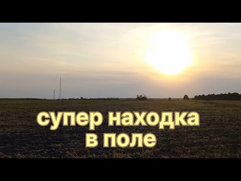 Видео: МЕГА НАХОДКА на поле Волжской Булгарии!!!Часть вторая.