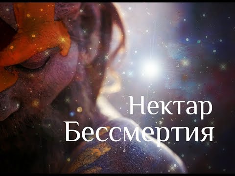 Видео: Что бы ни воспринималось, не есть вы сами - Нисаргадатта Махарадж. Нектар Бессмертия