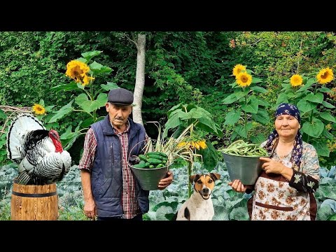 Видео: 3 Простых Деревенских Рецепта в одном видео | Жизнь в Деревне