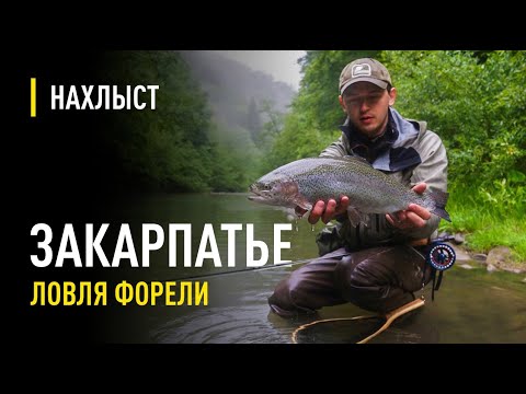 Видео: Ловля форели на стримеры в Закарпатье /  Fly fishing with streamer in Carpathians river