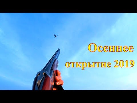 Видео: Осеннее открытие без основного трофея.