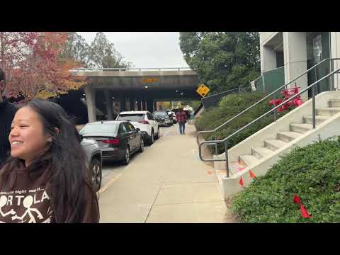 Видео: Программисты разорены, всё кончено. США