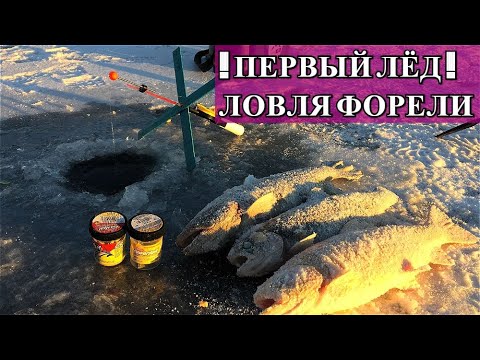 Видео: Первый Лед! Ловля Форели на Поставушки. Монтаж поставушки на два крючка.