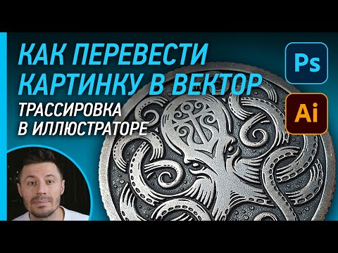 Видео: Как перевести картинку в вектор