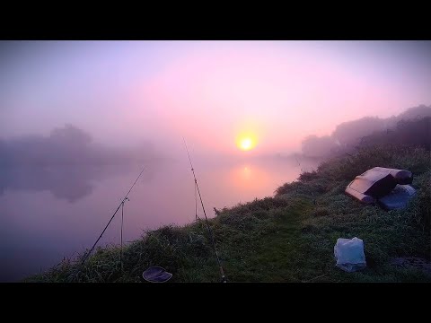 Видео: Самая удачная рыбалка в этом году / САЗАН / р. Матросовка 2024